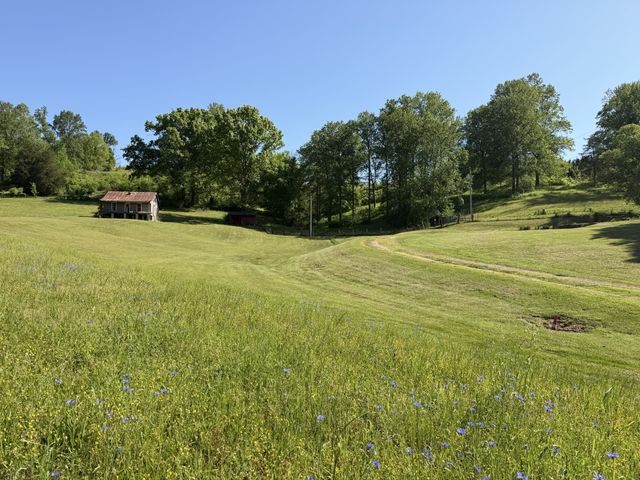 5170 Steam Mill Hollow Road Tract 2, Williamsport, TN 38487