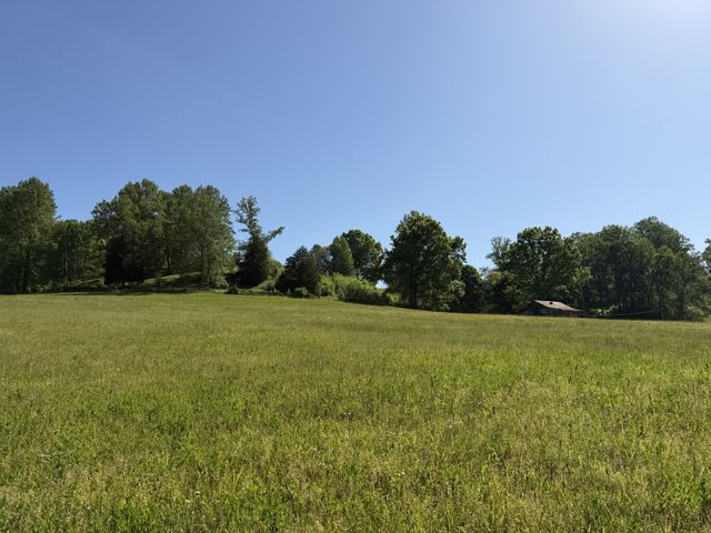 5170 Steam Mill Hollow Road Tract 2, Williamsport, TN 38487