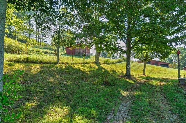 5170 Steam Mill Hollow Road Tract 2, Williamsport, TN 38487