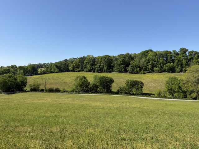 5170 Steam Mill Hollow Road Tract 2, Williamsport, TN 38487