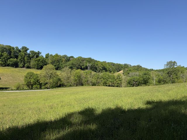 5170 Steam Mill Hollow Road Tract 2, Williamsport, TN 38487