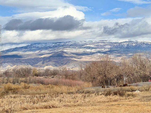 1774 Trappers Court, Delta, CO 81416