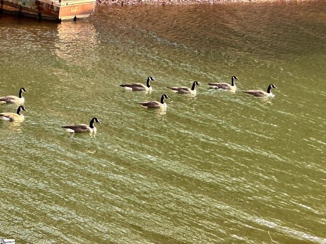 18C Hartwell Villas, Anderson, SC 29626