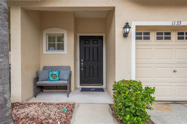 1133 ANDREW AVILES CIRCLE, Tampa, FL 33619