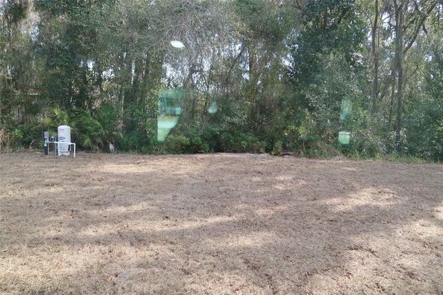 15045 SE 61ST COURT, Summerfield, FL 34491