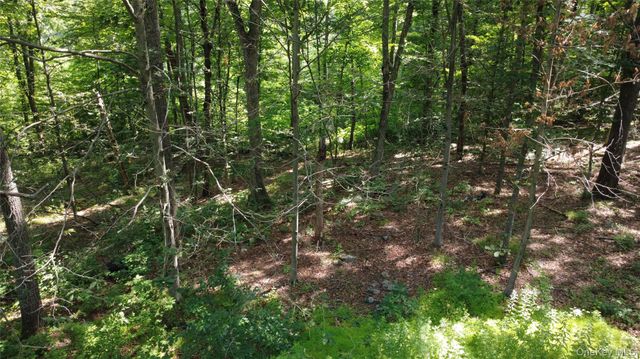 36 Sylvia Barlow Way, Brewster, NY 10509
