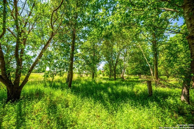 8623 Huber Road, Seguin, TX 78155