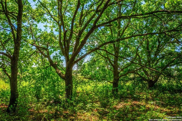 8623 Huber Road, Seguin, TX 78155