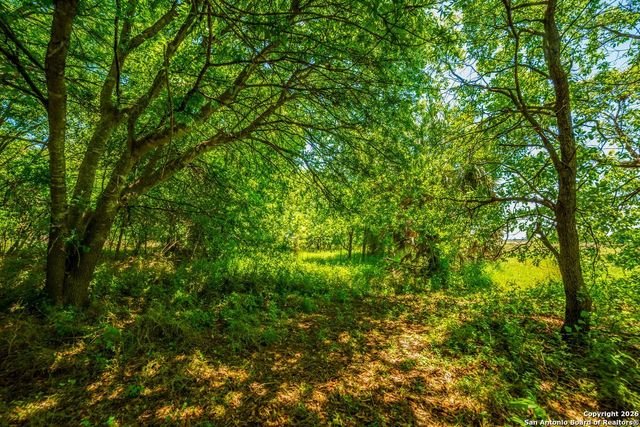 8623 Huber Road, Seguin, TX 78155