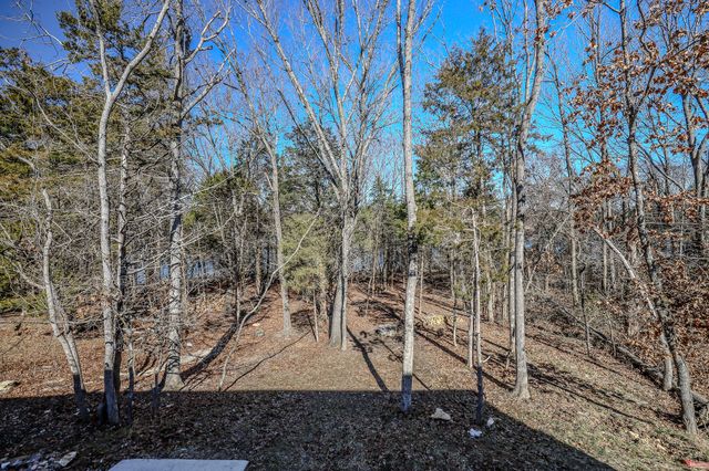 139 Cherokee Drive, Kimberling City, MO 65686