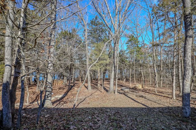 139 Cherokee Drive, Kimberling City, MO 65686