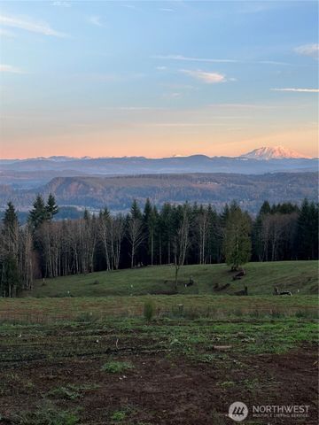 208 Suncrest Drive, Castle Rock, WA 98611