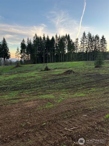 208 Suncrest Drive, Castle Rock, WA 98611