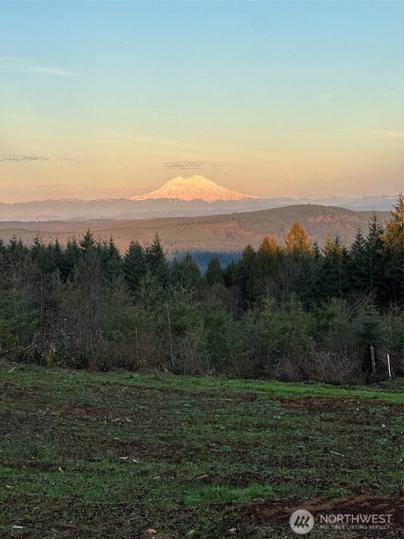 208 Suncrest Drive, Castle Rock, WA 98611