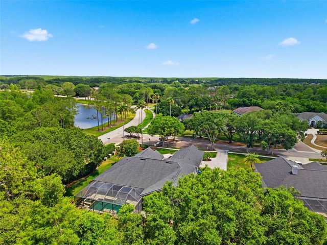 19130 CENTRE ROSE BOULEVARD, Lutz, FL 33558