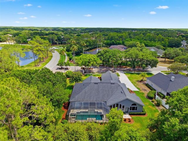 19130 CENTRE ROSE BOULEVARD, Lutz, FL 33558