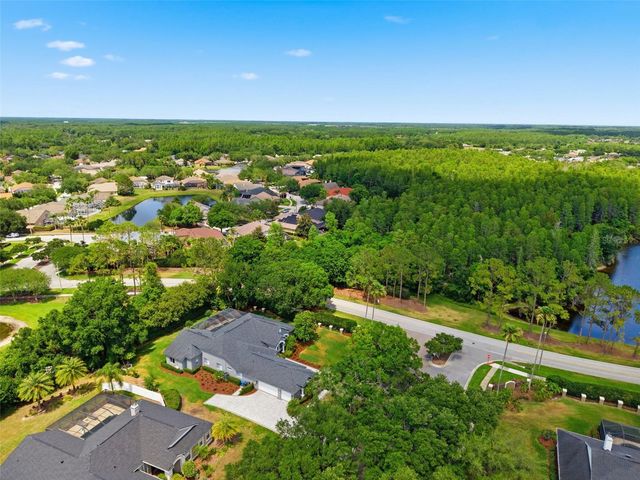 19130 CENTRE ROSE BOULEVARD, Lutz, FL 33558