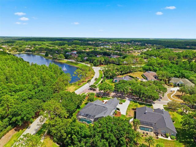 19130 CENTRE ROSE BOULEVARD, Lutz, FL 33558