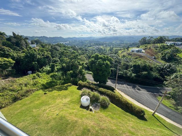 2 KM 17.6 PR 162, Barranquitas, PR 00794