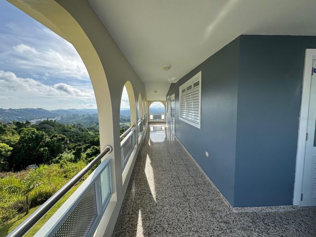 2 KM 17.6 PR 162, Barranquitas, PR 00794