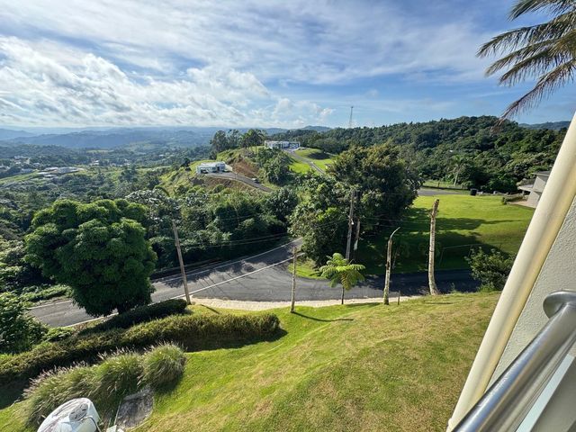 2 KM 17.6 PR 162, Barranquitas, PR 00794