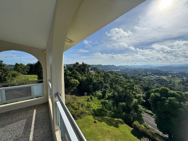 2 KM 17.6 PR 162, Barranquitas, PR 00794