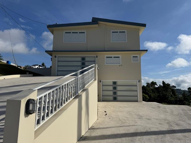 2 KM 17.6 PR 162, Barranquitas, PR 00794