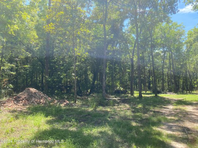 0 Snow Memorial Highway, Brooksville, FL 34601