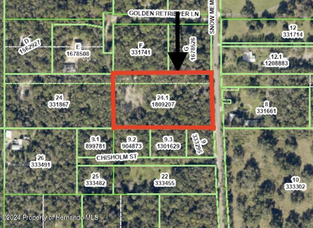 0 Snow Memorial Highway, Brooksville, FL 34601
