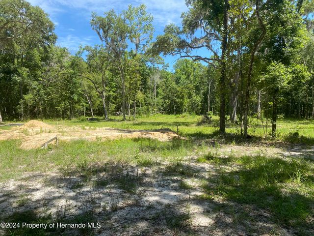 0 Snow Memorial Highway, Brooksville, FL 34601