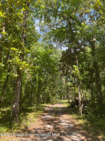0 Snow Memorial Highway, Brooksville, FL 34601