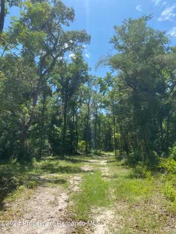 0 Snow Memorial Highway, Brooksville, FL 34601