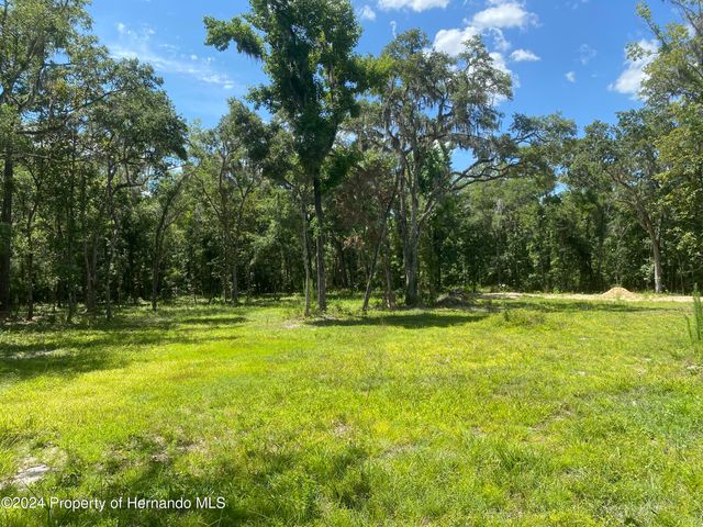 0 Snow Memorial Highway, Brooksville, FL 34601