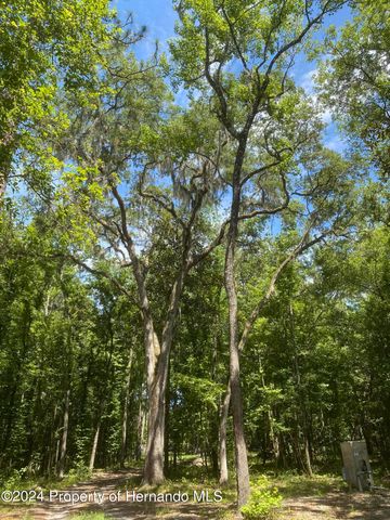 0 Snow Memorial Highway, Brooksville, FL 34601