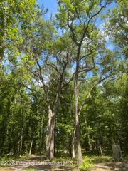 0 Snow Memorial Highway, Brooksville, FL 34601