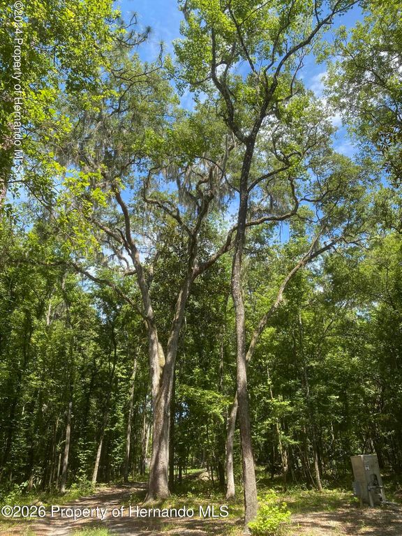 0 Snow Memorial Highway, Brooksville, FL 34601