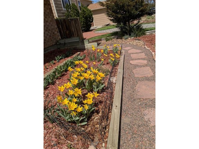 981 Oakwood Dr, Castle Rock, CO 80104