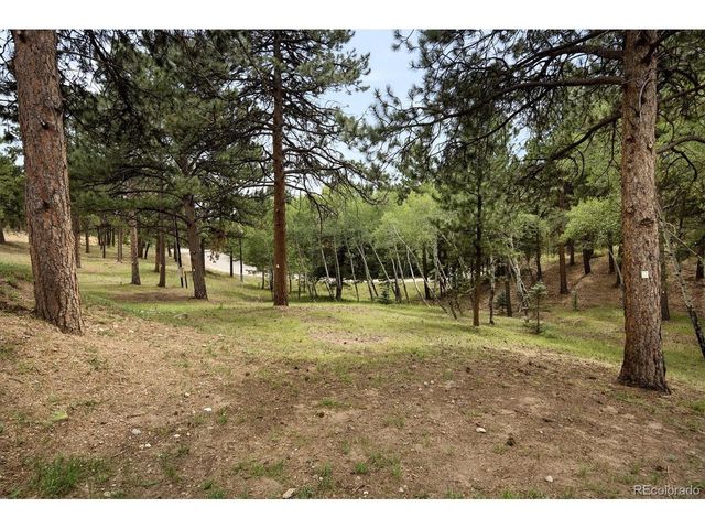 34066 Ranchero Rd, Evergreen, CO 80439