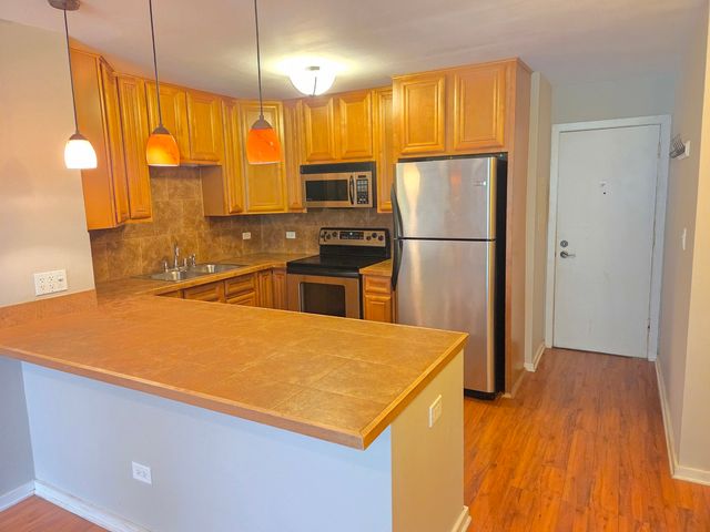 164 Dunteman Drive 101, Glendale Heights, IL 60139