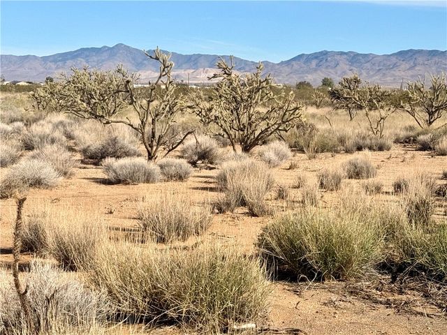 3.99 Ac N Hoover Road, Golden Valley, AZ 86413