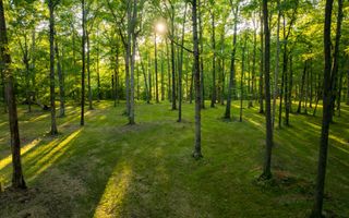 1 Peach Hollow Rd, Franklin, TN 37064