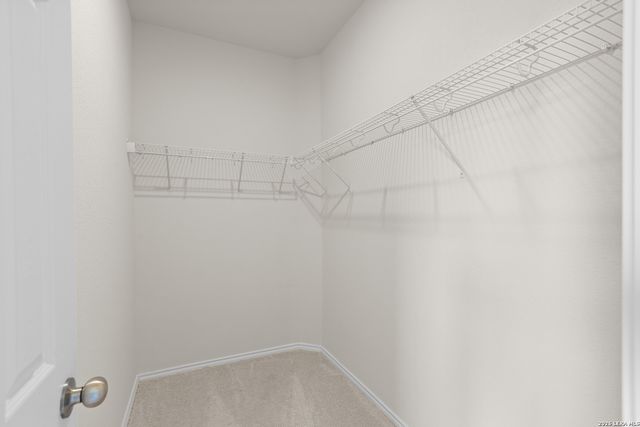 2931 Water Lotus, New Braunfels, TX 78130