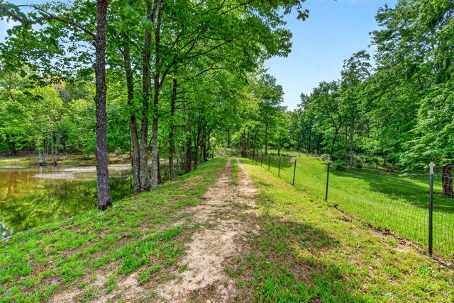 147 Napier Rd, Hohenwald, TN 38462