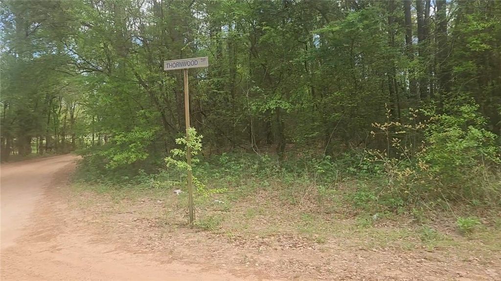 Lot 1 Thornwood Drive, Plantersville, TX 77363 — exterior