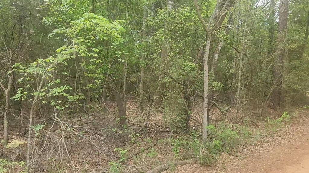 Lot 1 Thornwood Drive, Plantersville, TX 77363 — photo 2