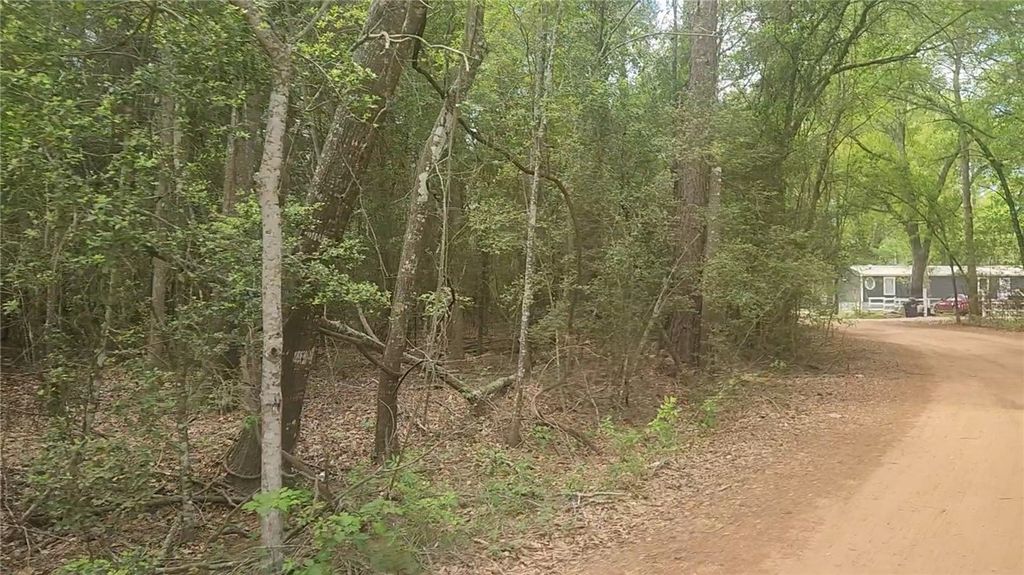 Lot 1 Thornwood Drive, Plantersville, TX 77363 — photo 3