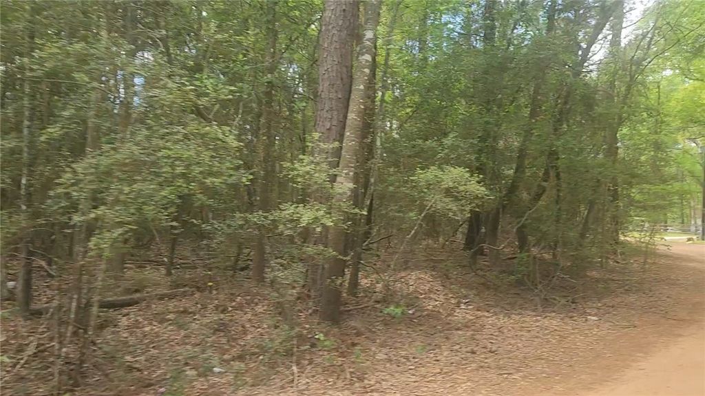 Lot 1 Thornwood Drive, Plantersville, TX 77363 — photo 4