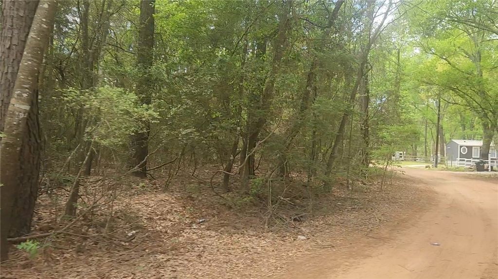 Lot 1 Thornwood Drive, Plantersville, TX 77363 — photo 5
