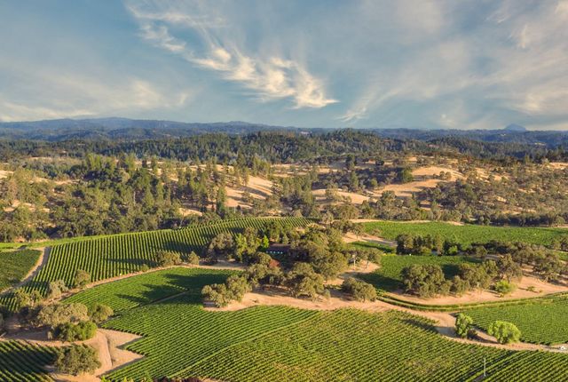 20540 Shenandoah School Road, Plymouth, CA 95669
