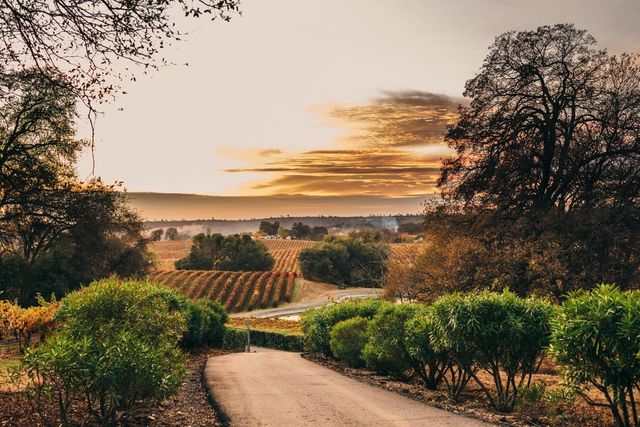 20540 Shenandoah School Road, Plymouth, CA 95669
